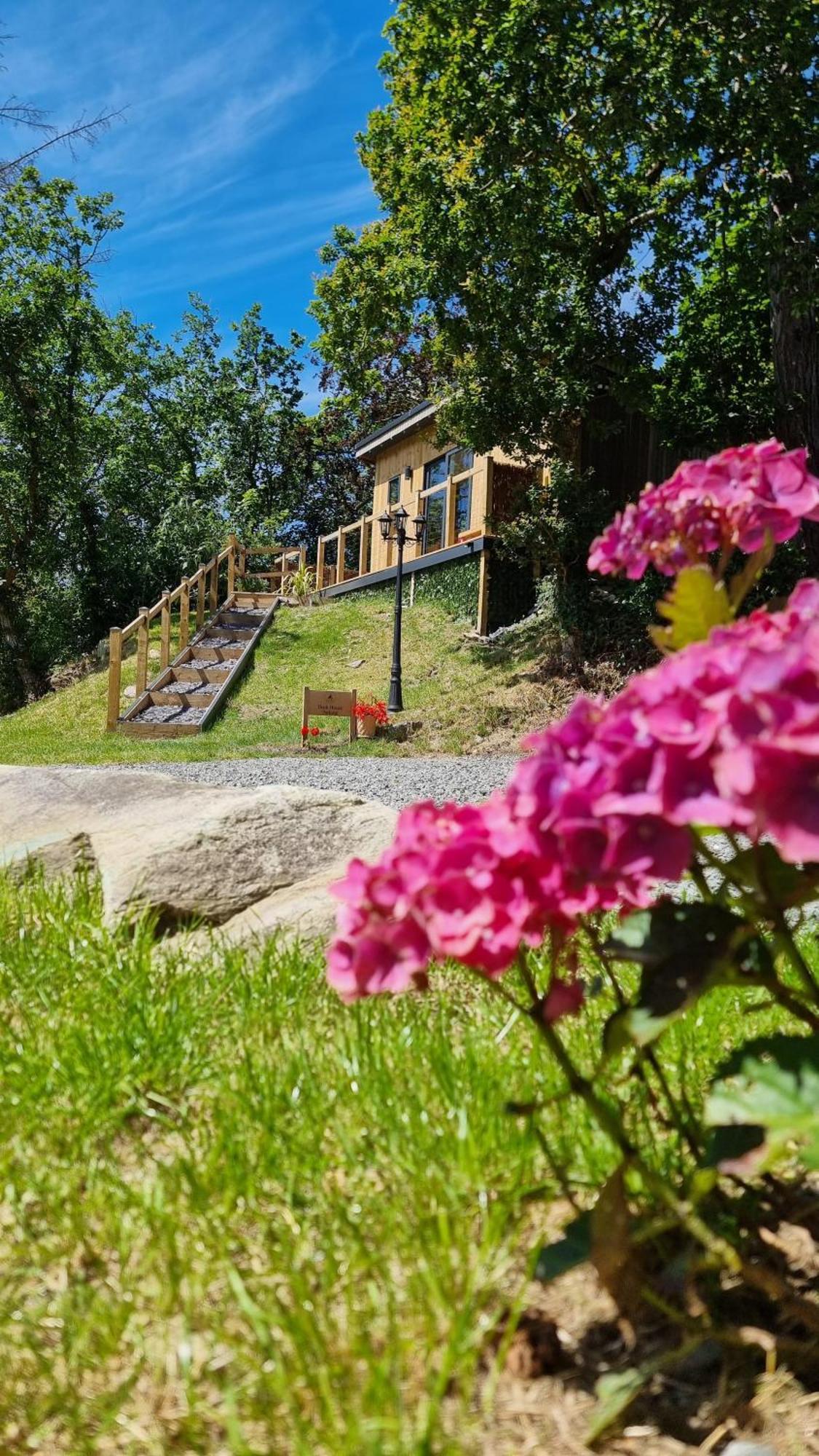 The Duck House Apartment Barmouth Bagian luar foto